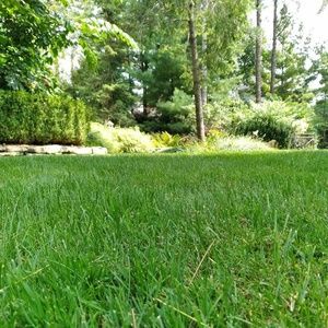 Meet your Posher, Puma